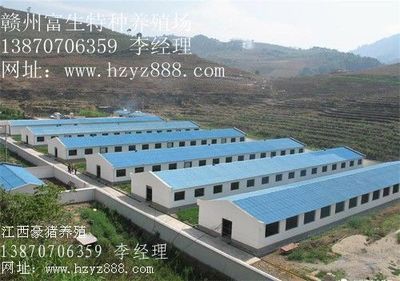 池州豪猪 安徽池州豪猪养殖厂 安徽池州豪猪养殖_农副产品_世界工厂网