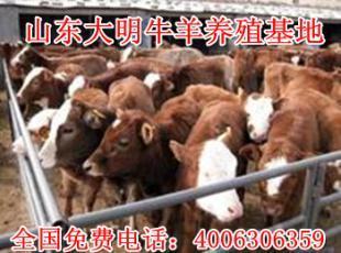安徽池州养牛场|大型养牛基地|牛多少钱一头_农副产品_世界工厂网
