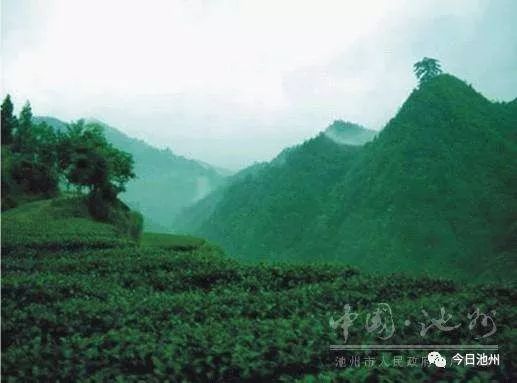 解读 安徽首个 国字号 金字招牌为何落户贵池 零突破 背后有啥意义