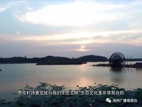 青春池州 庆祝改革开放40年 复建杏花村 树立全域旅游新 标杆