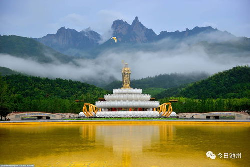 对不起,今天池州向你道歉